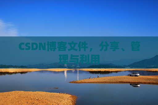 CSDN博客文件，分享、管理与利用